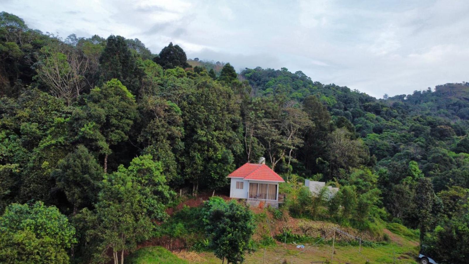 Misty Hideout Bed and Breakfast Kakkadampoyil Exterior foto