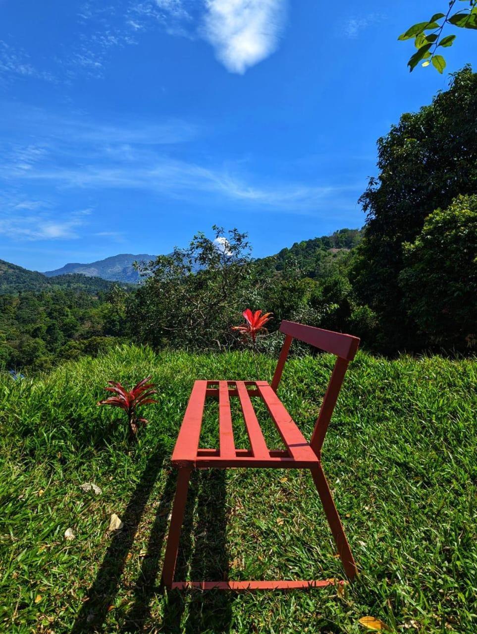 Misty Hideout Bed and Breakfast Kakkadampoyil Exterior foto